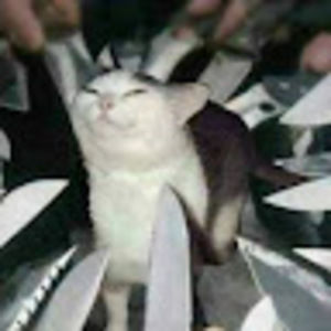 Meet your Posher, Elena